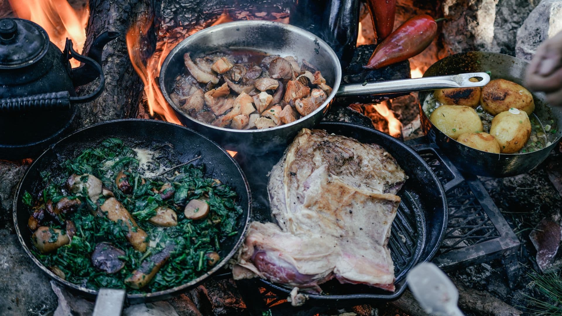 What Is Cooking? The Science Behind Food Transformation