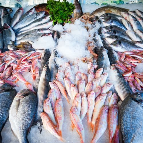 Fish Freshness Detection